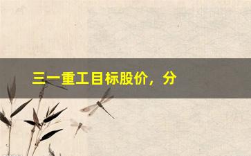 “三一重工目标股价，分析三一重工股票走势及未来发展前景”/