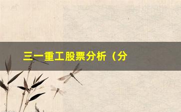 “三一重工股票分析（分析三一重工股票走势及投资建议）”/