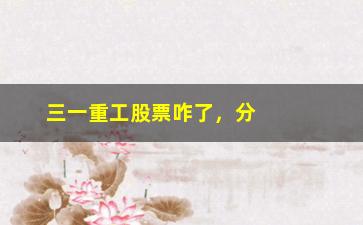 “三一重工股票咋了，分析三一重工股票最近的行情变化”/