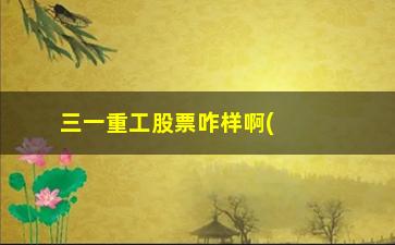 “三一重工股票咋样啊(三一重工股票上涨空间)”/