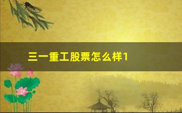 “三一重工股票怎么样13元进(三一重工股票现在多少钱一股)”/