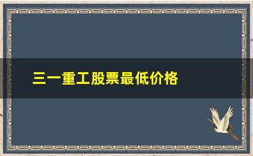 “三一重工股票最低价格，了解三一重工股票历史最低价格及分析”/