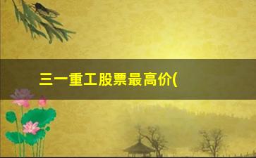 “三一重工股票最高价(三一重工股票发行价是多少)”/