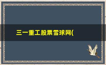 “三一重工股票雪球网(三一重工股市)”/