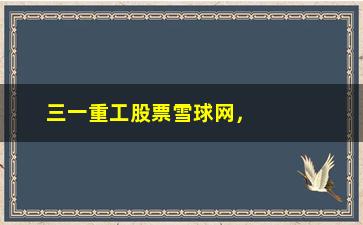 “三一重工股票雪球网，了解三一重工股票最新动态，尽在雪球网”/