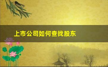 “上市公司如何查找股东(上市公司股东分红要交税吗)”/