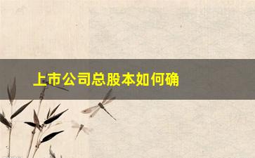 “上市公司总股本如何确定(非上市公司总股本怎么设定)”/