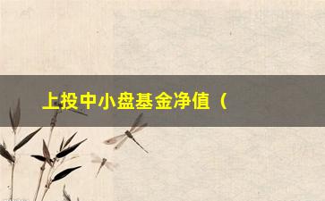 “上投中小盘基金净值（了解上投中小盘基金最新净值变动）”/