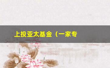 “上投亚太基金（一家专注于亚太地区投资的知名基金公司）”/