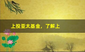 “上投亚太基金，了解上投亚太基金的投资方式和风险控制”/