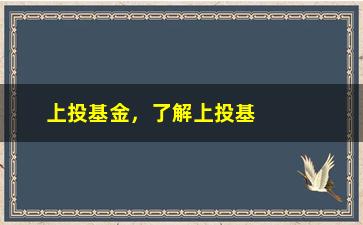 “上投基金，了解上投基金的基本情况和投资策略”/