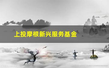 “上投摩根新兴服务基金（了解新兴服务行业投资方向）”/