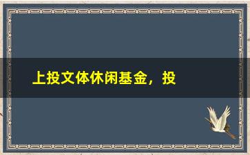 “上投文体休闲基金，投资者应该知道的几个关键点”/