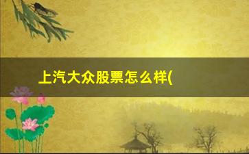 “上汽大众股票怎么样(上汽大众官网中国官方网站)”/