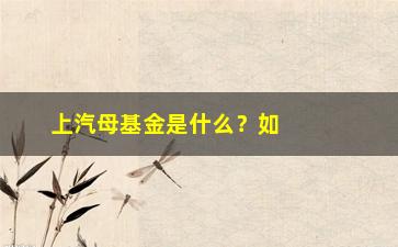 “上汽母基金是什么？如何投资？”/