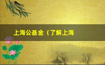 “上海公基金（了解上海公积金的相关政策和操作流程）”/