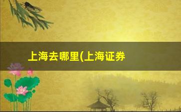 “上海去哪里(上海证券开户怎么开户流程)”/