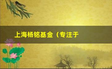 “上海杨铭基金（专注于投资领域的优秀公司）”/