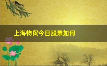 “上海物贸今日股票如何(上海物贸股票今天走势)”/