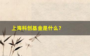 “上海科创基金是什么？如何申请？”/