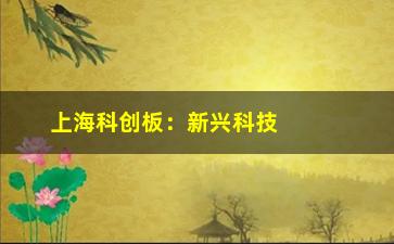 “上海科创板：新兴科技企业的舞台”/