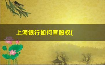 “上海银行如何查股权(上海银行如何查余额)”/