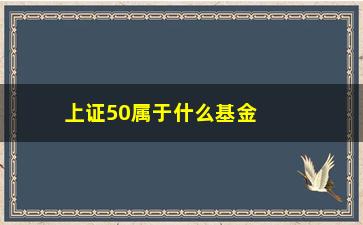 “上证50属于什么基金(上证50etf包括哪50只股票)”/