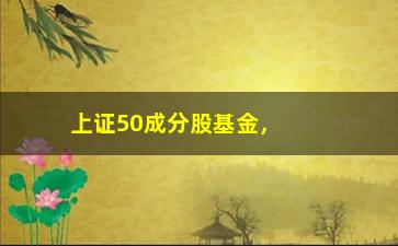 “上证50成分股基金，了解上证50成分股基金的投资优势”/