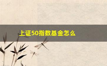 “上证50指数基金怎么买(上证50指数基金怎么样)”/