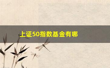 “上证50指数基金有哪些哪些比较好(上证50指数基金选哪个)”/