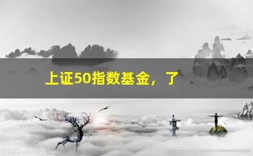 “上证50指数基金，了解上证50指数基金的投资策略”/