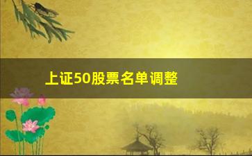 “上证50股票名单调整(调入50指数的股票)”/