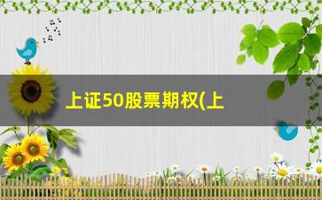 “上证50股票期权(上证50期权手续费多少)”/