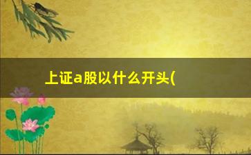 “上证a股以什么开头(上证股票开头数字)”/