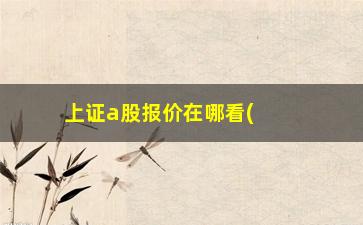 “上证a股报价在哪看(a股上证指数是什么意思)”/