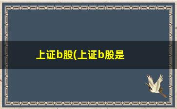 “上证b股(上证b股是什么意思)”/