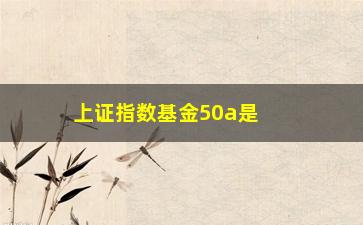 “上证指数基金50a是什么意思(上证指数的基金)”/