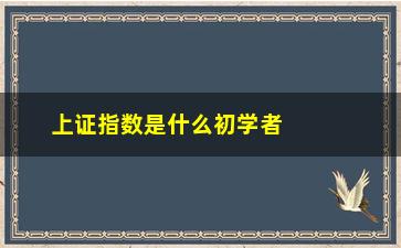 “上证指数是什么初学者必读的入门指南”/