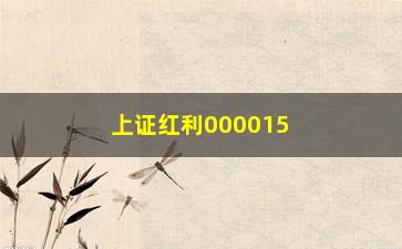 “上证红利000015指数基金(沪深300指数基金排名)”/