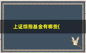 “上证综指基金有哪些(上证指数包含哪些基金)”/