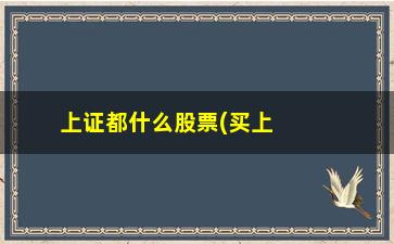 “上证都什么股票(买上证股票有什么要求)”/