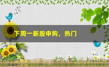 “下周一新股申购，热门新股申购预测及注意事项”/