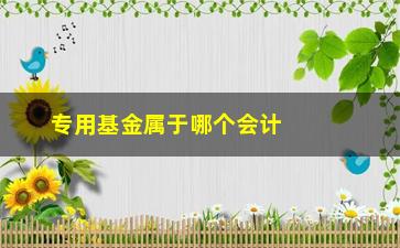 “专用基金属于哪个会计科目？”/