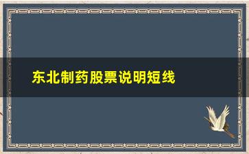 “东北制药股票说明短线实战成功率很高的技巧”/