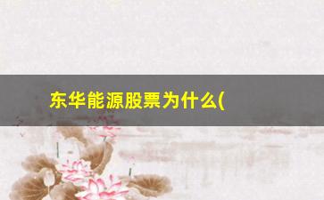 “东华能源股票为什么(东华能源新材料(宁波)有限公司)”/