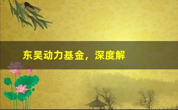 “东吴动力基金，深度解析东吴动力基金的投资策略”/