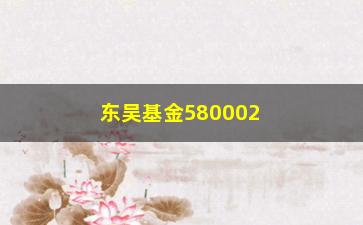 “东吴基金580002的历史业绩及投资步骤分析”/