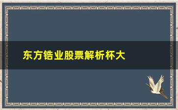 东方锆业股票解析杯大杯小不重要