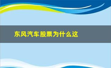 “东风汽车股票为什么这么低(东风汽车集团股票)”/