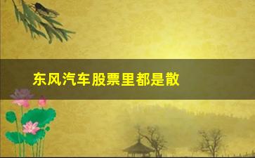 “东风汽车股票里都是散户了，分析散户对东风汽车股票的影响”/